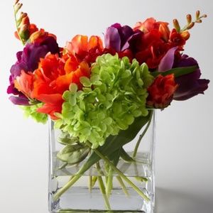 Meet your Posher, Vanessa